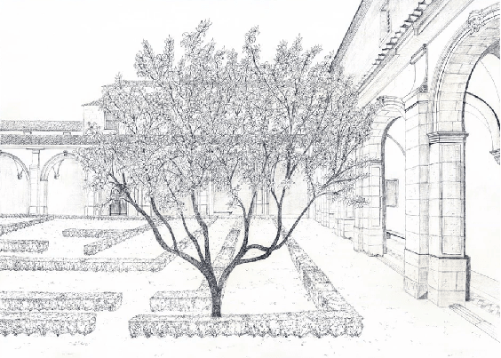 Papier peint panoramique sous les arcades – Jardin en gravure - Muralconcept