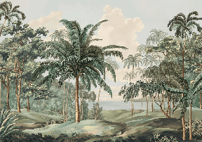 Papier peint paysage Célèbes - Muralconcept