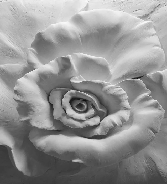 Carta da parati Flower Sculpture 3D