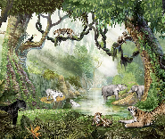 Papier peint enfant jungle secrète - Muralconcept
