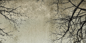 Enchanted Forest Tapete - Muralconcept