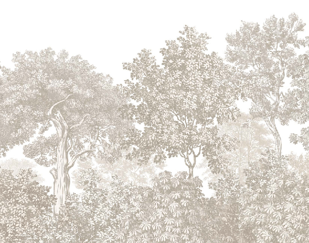 Papier peint paysage forêt gravure beige, XXL, tendance