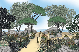 Papier peint paysage France bord de mer - Muralconcept