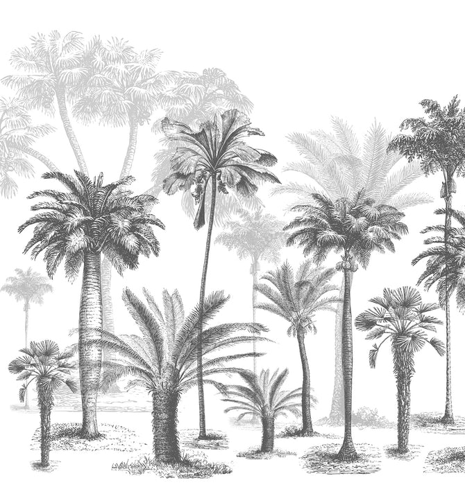 Carta da parati Jungle in bianco e nero