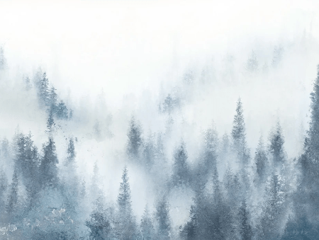 Papier peint restaurant sapin brume bleu aquarelle - Muralconcept