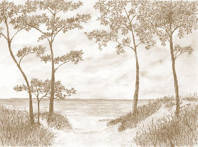 Maritime Pines and Dunes Wallpaper - Sepia - Muralconcept