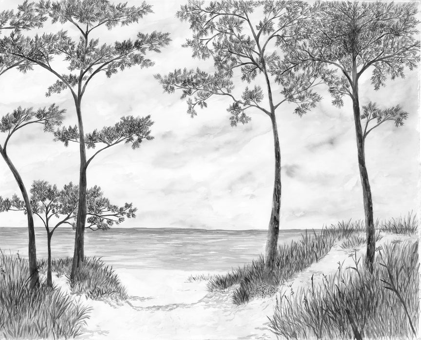 Papier peint Pins maritimes et dunes - Noir et blanc - Muralconcept