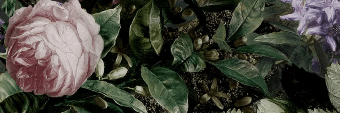 Carta da parati floreale intensa e chic