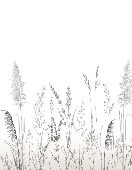 Papier peint poétique pampa - Muralconcept