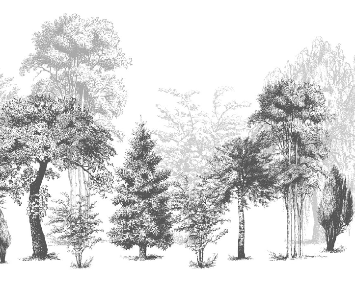 Papier peint salle de bain nature en noir et blanc, XXL, tendance