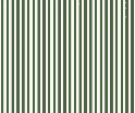 Papier peint wc rayure rétro vert jungle - Muralconcept