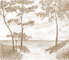 Papier peint Pins maritimes et dunes - Sépia - Muralconcept