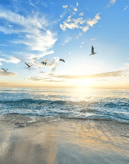 Papier peint Plage Paradisiaque - Muralconcept