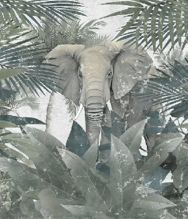 Papier peint Elephant d'Amazonie