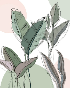 Papier peint panoramique végétal graphique vert - Muralconcept