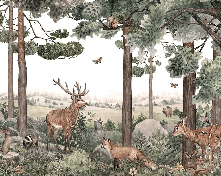 Papier peint bébé sentier sauvage - Muralconcept