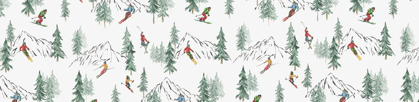 Papier peint Alpine glisse - Muralconcept