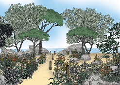 Papier peint paysage France bord de mer - Muralconcept