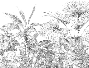 Papier peint tropical gravure monochrome - Muralconcept