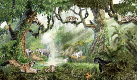 Papier peint enfant jungle secrète - Muralconcept