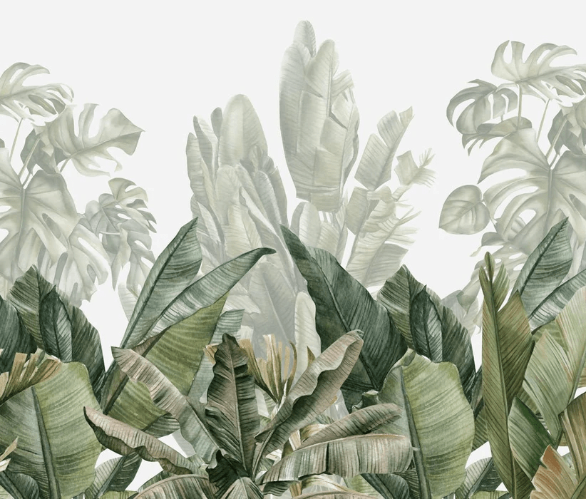 Carta da parati panoramica verde banana - Muralconcept