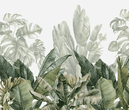 Papier peint panoramique bananier vert - Muralconcept