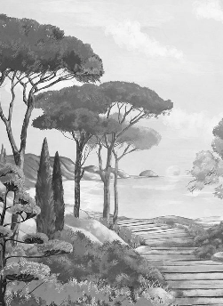 Carta da parati passeggiata nelle calanques in bianco e nero