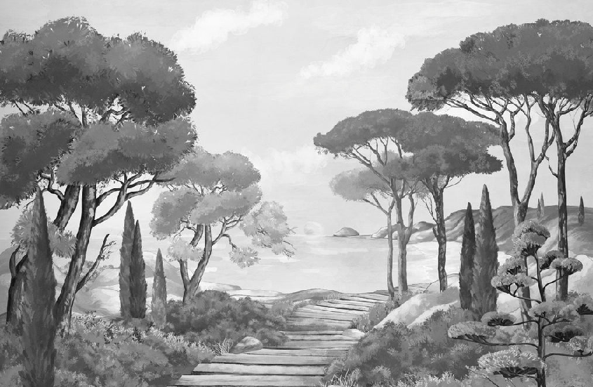 Papier peint balade dans les calanques noir et blanc - Muralconcept