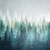 Papier peint forêt canadienne abstrait - Muralconcept