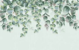 Papier peint nature plante Eucalyptus - Muralconcept