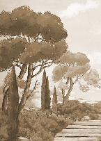 Carta da parati passeggiata nelle calanques monocromatica