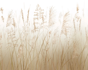 Carta da parati con fiori di campo e grano
