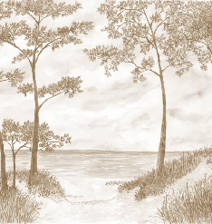 Maritime Pines and Dunes Wallpaper - Sepia - Muralconcept