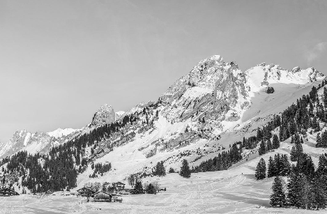 Papier peint panoramique chalet alpage, XXL, tendance