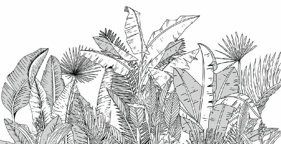 Papier peint panoramique noir et blanc botanic leaf - Muralconcept