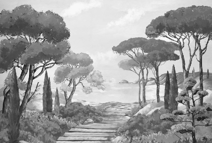 Papier peint balade dans les calanques noir et blanc - Muralconcept