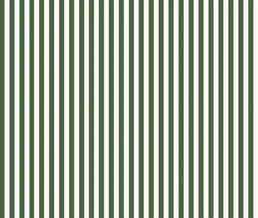 Papier peint wc rayure rétro vert jungle - Muralconcept