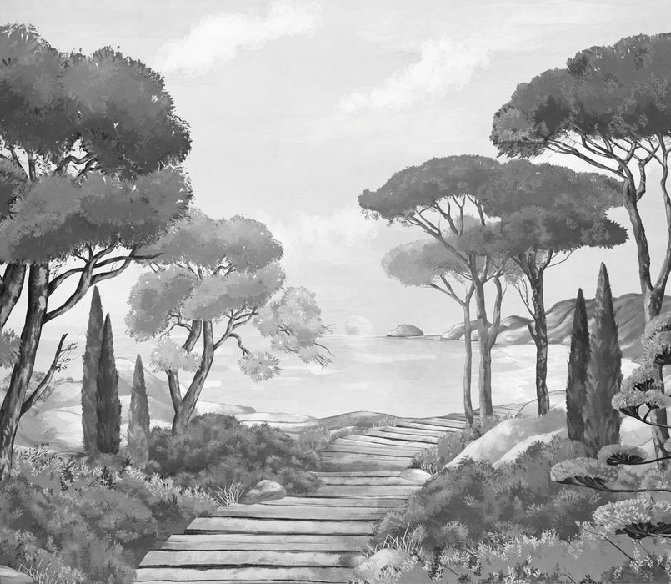 Papier peint balade dans les calanques noir et blanc - Muralconcept