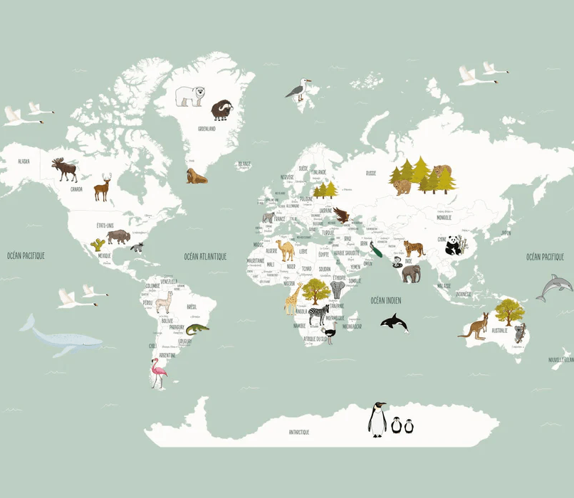 Papier peint Carte du monde en Francais enfant vert - Muralconcept