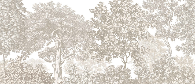 Papier peint paysage forêt gravure beige, XXL, tendance