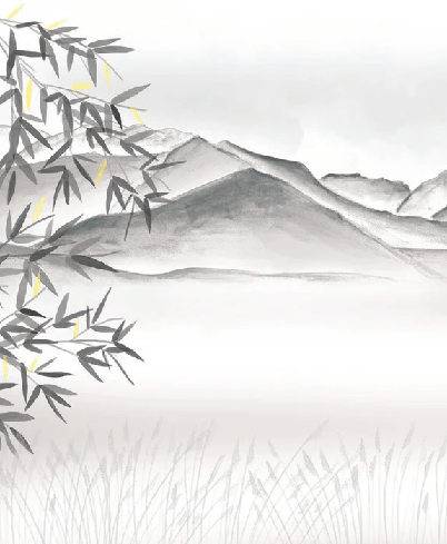 Carta da parati artistica Annecy tra lago e montagna GRIGIO