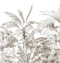 Papier peint tropical gravure monochrome - Muralconcept