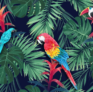 Papier peint Exotique Perroquet, XXL, tendance