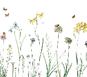 Papier peint herbes enchantées - Muralconcept