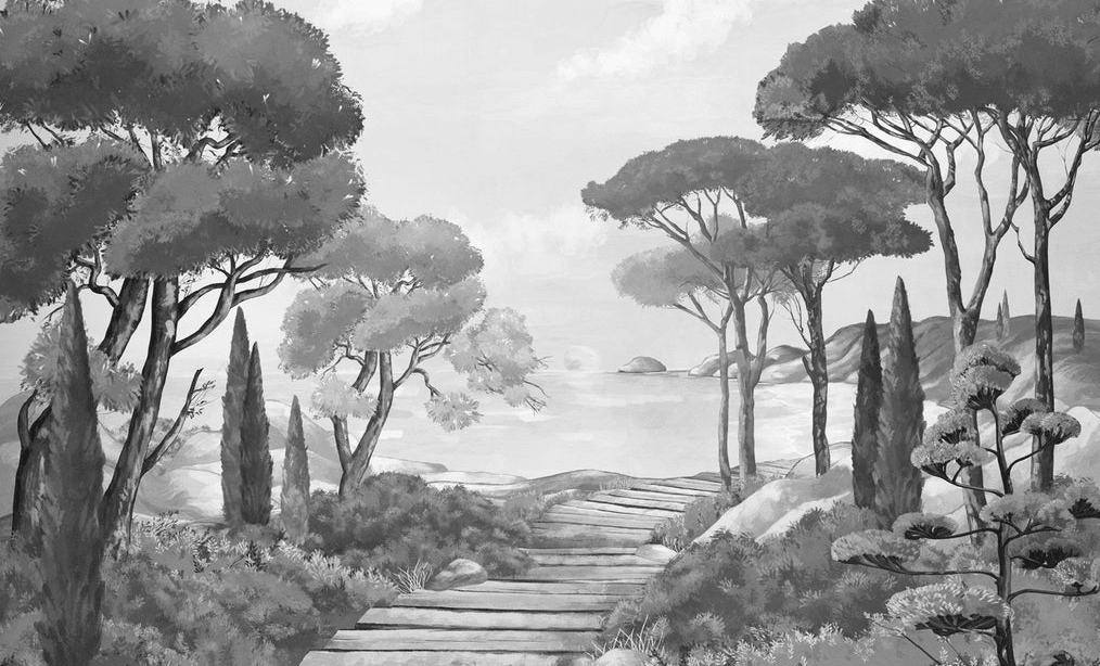 Papier peint balade dans les calanques noir et blanc - Muralconcept