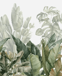 Panoramic green banana wallpaper, XXL, tendance