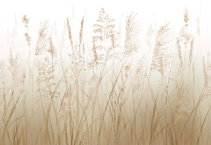 Carta da parati con fiori di campo e grano