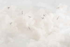 Panorama-Tapete – Zeitloser Himmel - Muralconcept