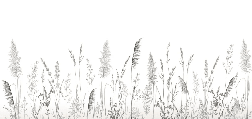 Papier peint poétique pampa - Muralconcept