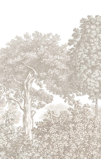 Papier peint paysage forêt gravure beige, XXL, tendance